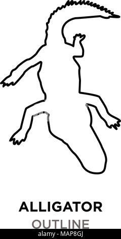Profilo di alligatore su sfondo bianco Illustrazione Vettoriale