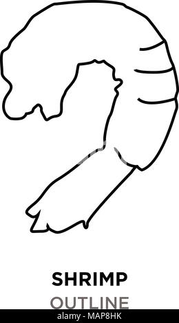 Profilo di gamberetti su sfondo bianco Illustrazione Vettoriale