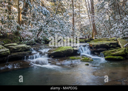 L'acqua scorre lungo un piccolo ruscello in questa scena invernale da Appalachian Kentucky. Foto Stock