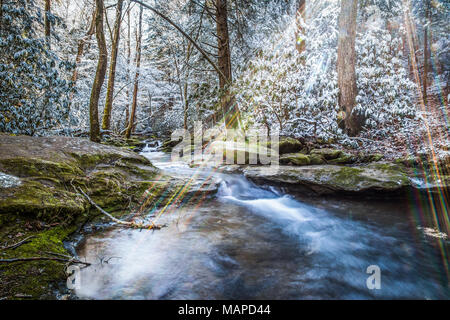 L'acqua scorre lungo un piccolo ruscello in questa scena invernale da Appalachian Kentucky. Foto Stock