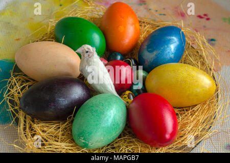 Multicolore di uova di quaglia, gallina e anatra su paglia e un bianco Guldlian finch arroccato su di essi. Foto Stock