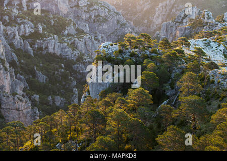 Antenna bellissimo paesaggio sunrise presso i Puertos de Beceite Parco Nazionale mostra di vegetazione mediterranea e montagne rocciose e canyon con contralig Foto Stock