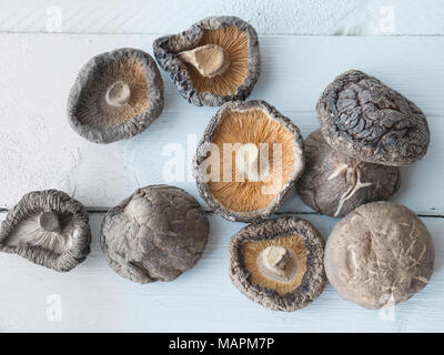 Funghi secchi su bianco sullo sfondo di legno Foto Stock