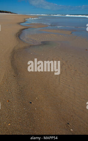 Spiaggia aperta, Canaveral National Seashore, Florida Foto Stock