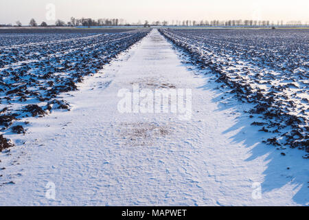 Visualizza in basso una vecchia fattoria in calcestruzzo su strada attraverso campi fenland nella neve, Cambridgeshire, Inghilterra Foto Stock