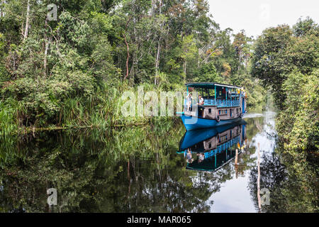Klotok con turisti sul fiume Sekonyer, Tanjung messa National Park, Kalimantan, Borneo, Indonesia, Asia sud-orientale, Asia Foto Stock