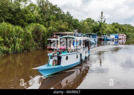 Klotok con turisti sul fiume Sekonyer, Tanjung messa National Park, Kalimantan, Borneo, Indonesia, Asia sud-orientale, Asia Foto Stock