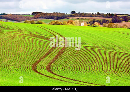 Un autunno vista sul caratteristico paesaggio rurale di Cotswolds, Gloucestershire, England, Regno Unito, Europa Foto Stock
