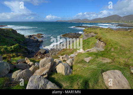 Ballydonegan Bay, anello di Beara, penisola di Beara, Wild Atlantic modo, nella contea di Cork, Munster, Repubblica di Irlanda, Europa Foto Stock