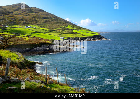 Vista costiera, anello di Beara, penisola di Beara, Wild Atlantic modo, nella contea di Cork, Munster, Repubblica di Irlanda, Europa Foto Stock