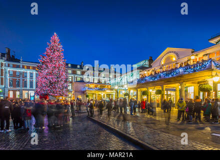 Vista di albero di Natale in Covent Garden al crepuscolo, London, England, Regno Unito, Europa Foto Stock