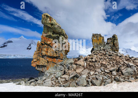 Pinguini Chinstrap chiamando (Pygoscelis antarcticus) ad una colonia di scoscese, Half Moon Island, a sud le isole Shetland, Antartide, regioni polari Foto Stock