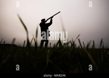 Silhouette di spari su un fagiano shoot, Regno Unito, Europa Foto Stock