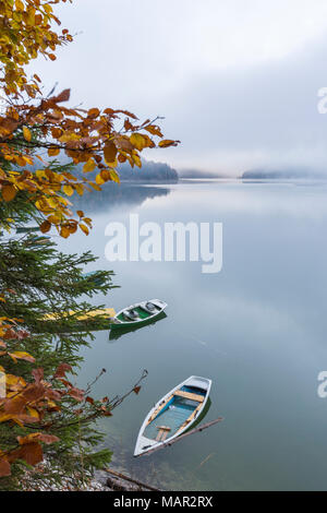 Barche sul lago Sylvenstein in autunno, Bad Tolz-Wolfratshausen district, Baviera, Germania, Europa Foto Stock