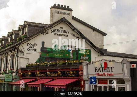 Blarney nella contea di Cork in Irlanda la segnaletica sul timpano parete della Muskerry armi in un tradizionale pub irlandese sulla via principale della città Foto Stock