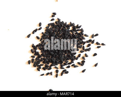 Di cumino nero (nigella sativa) aka nero semi di cumino su sfondo bianco Foto Stock