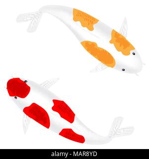 Rosso e giallo giappone pesce Koi o di fantasia carp fish Illustrazione Vettoriale