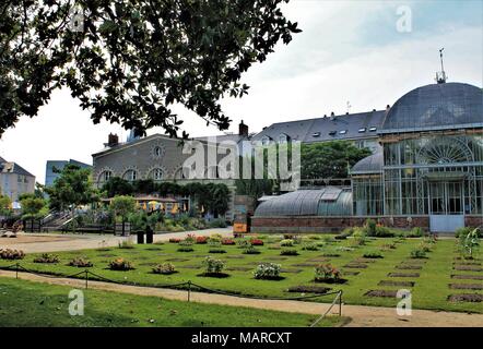 Jardin des Plantes (giardino botanico) di Nantes, Loire Atlantique, regione Pays de la Loire, Francia Foto Stock