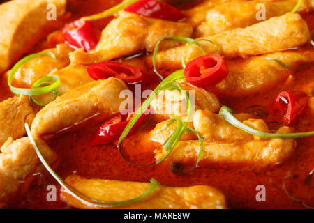 Street cibo tailandese: pollo al curry panang macro. orizzontale di sfondo Foto Stock