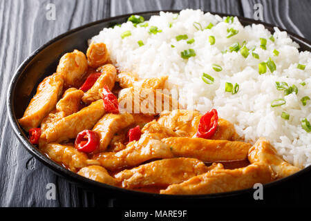 Delizioso pollo Tailandese panang curry con guarnite di riso close-up su una piastra orizzontale. Foto Stock