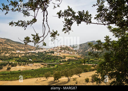 Paesaggio intorno alla città santa di moulay idriss zerhoun, vicino a Meknes, Marocco Foto Stock