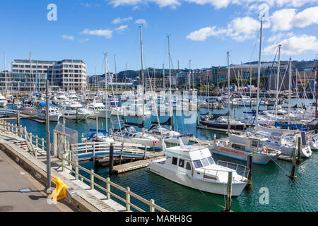 Nuova Zelanda Wellington New Zealand Yacht ormeggiati nei crivelli superiori marina Clyde Quay wharf sul lungomare di Wellington Wellington Nuova Zelanda Foto Stock