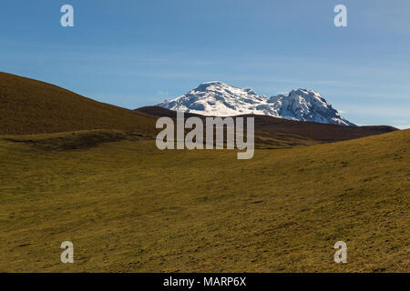 Vulcano Antisana, bella montagna innevata che appare dietro le colline del paramo Foto Stock