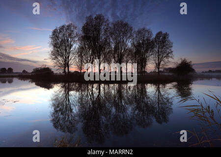 Autunno tramonto su alberi, fiume Nene Valley, ricino village, Peterborough, CAMBRIDGESHIRE; Inghilterra; Gran Bretagna; Regno Unito Foto Stock