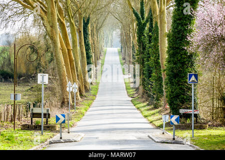 Il piccolo paese di pendenza strada lasciando il villaggio di Rozay-en-Brie al sud, delimitato da due filari di platani, nella campagna francese. Foto Stock