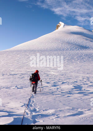 Maschio scalatore di montagna si dirige verso un alto vertice alpino su un ghiacciaio con neve fresca Foto Stock