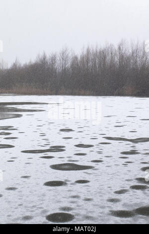 Coperte di neve, lago ghiacciato a Attenborough Riserva Naturale durante una nevicata Foto Stock