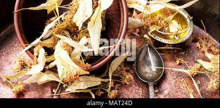 Fioritura linden, utilizzati per la preparazione di tè di guarigione.la medicina di erbe.medicina omeopatia Foto Stock