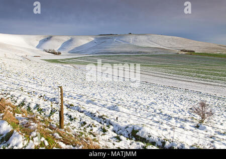 Una leggera spolverata di neve sul Pewsey Downs nel Wiltshire. Foto Stock