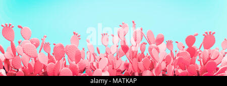 Insolito Cactus Rosa campo sullo sfondo turchese Foto Stock