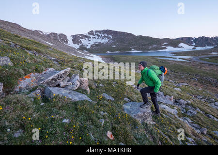 Un scalatore passeggiate lungo l'approccio alpino di Mt. Evans, Colorado, a sunrise. Foto Stock