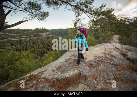 Una femmina di escursionista esplorare ponticello del cielo nella Red River Gorge di KY a sunrise. Foto Stock