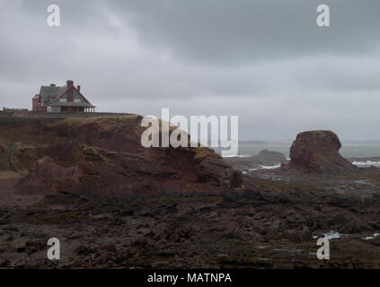 Cottage su una scogliera a rainy costa est della Scozia Foto Stock