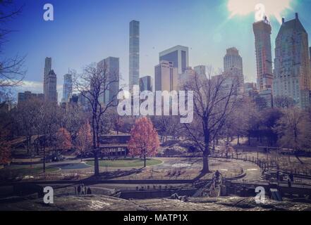 Central Park sunrise, New York City Foto Stock