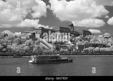 Il Castello di Buda, Budapest Foto Stock