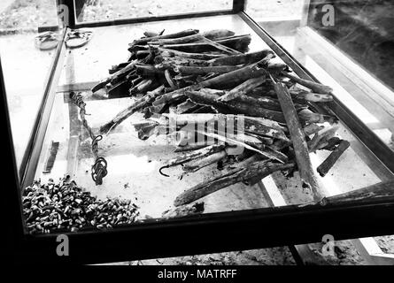 Omaggi al file di uccisione di Phnom Penh Foto Stock