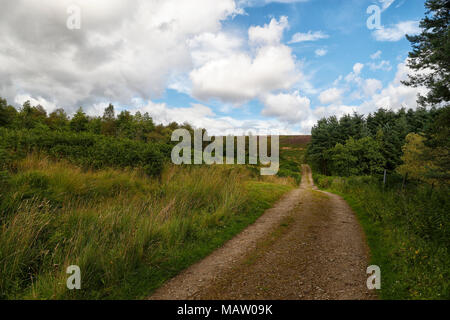 Serbatoio Grimwith a piedi è un percorso circolare attorno al serbatoio di circa quattro chilometri di lunghezza considerata sulla passeggiata facile Foto Stock