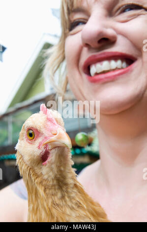 Donna che mantiene un buff-orpington il pollo nel suo cortile a Portland, Oregon. Foto Stock