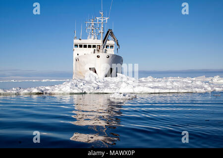 Isola Paulet Antartide, nave circondata da ghiaccio con la riflessione Foto Stock