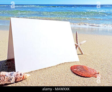 Vuoto scheda bianca o biglietto di auguri sulla spiaggia con una copia dello spazio. Vacanze estive o spiaggia di vacanze scena con conchiglie e stelle marine. I saluti delle vacanze. Foto Stock