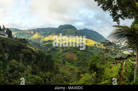 Il governo dello Sri Lanka highlands con i giardini del tè e cascata in distanza, sulla mattina di sole. Ramboda Falls, Sri Lanka Foto Stock