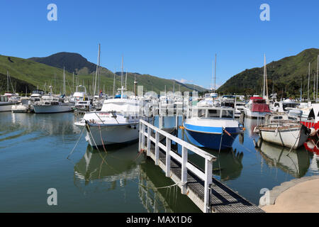 Vista delle barche e yacht in marina a Havelock sul suono Pelorus, regione di Marlborough, Isola del Sud, Nuova Zelanda Foto Stock