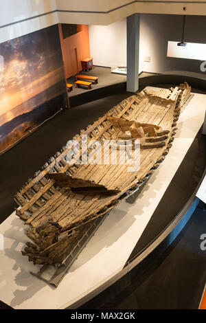 Scafo di La Belle nave ammiraglia di Robert de la Salle, che affondò il Texas in 1686; ora nel Bob Bullock Texas State History Museum, Austin, Texas Foto Stock