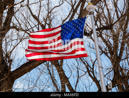 Bandiera americana battenti contro il cielo blu e rami di alberi in Riverside Park; Salida; Colorado; USA Foto Stock