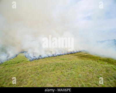 63863-02618 Estate prairie masterizzare Prairie Ridge Stato Area Naturale - antenna Marion Co. IL Foto Stock