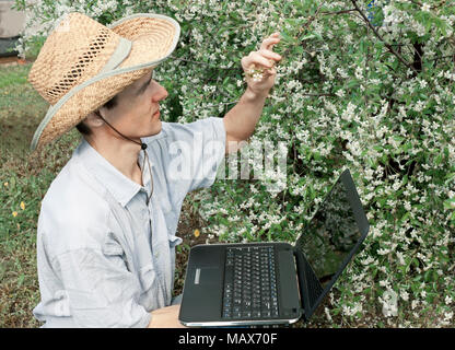 Il giovane giardiniere in un giardino di ciliegio in primavera Foto Stock